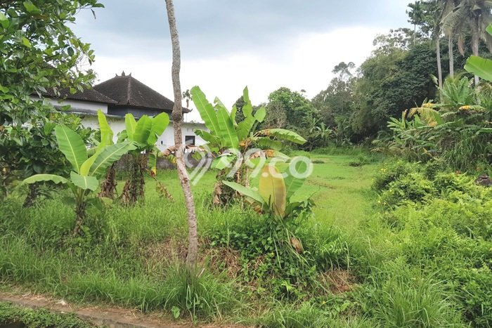 Tanah Dijual Area Strategis di Megati Tabanan 4080m2 Tanah Dijual Area Strategis di Megati Tabanan 4080m2