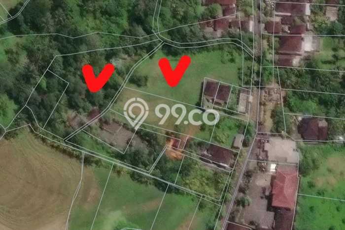 Tanah Siap Bangun Dijual di Tabanan Punya Luas 4080m2 Tanah Siap Bangun Dijual di Tabanan Punya Luas 4080m2