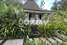 HARGA TERBAIK! Vila di Payangan, Dimensi 1600m2m², Kawasan Berkembang dengan prospek meningkat HARGA TERBAIK! Vila di Payangan, Dimensi 1600m2m², Kawasan Berkembang dengan prospek meningkat