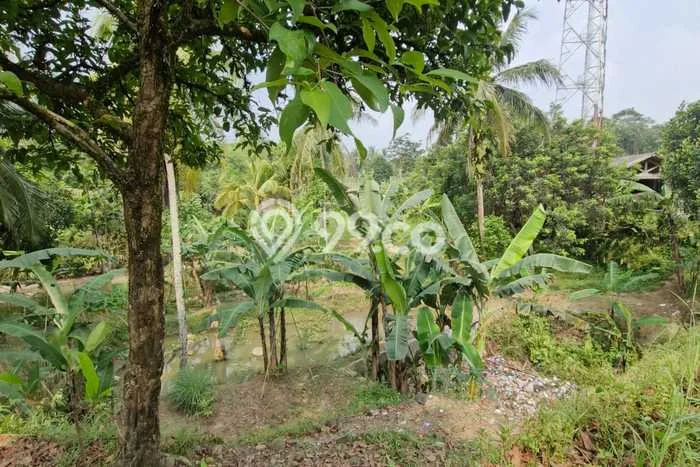 Untuk Dijual Tanah di Leuwisadeng Bogor Luas 2600m2 SHM Untuk Dijual Tanah di Leuwisadeng Bogor Luas 2600m2 SHM