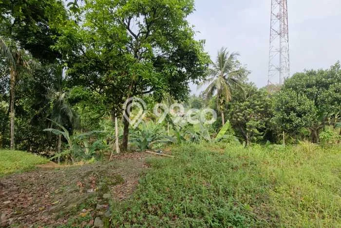 Untuk Dijual Tanah di Leuwisadeng Bogor Luas 2600m2 SHM Untuk Dijual Tanah di Leuwisadeng Bogor Luas 2600m2 SHM