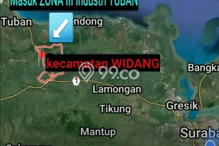 Tanah Komersial Dijual di Widang Tuban 40000m2 Tanah Komersial Dijual di Widang Tuban 40000m2