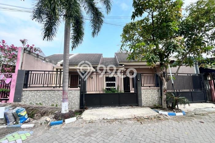 Dijual Rumah Minimalis Bagus Punya 3 KT di Driyorejo Gresik SHM Dijual Rumah Minimalis Bagus Punya 3 KT di Driyorejo Gresik SHM