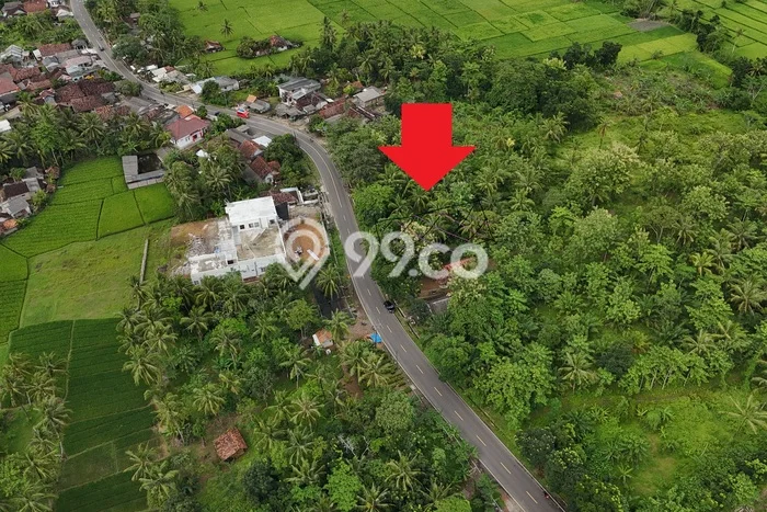 Kavling Tanah di Cigeulis Dijual Luas 6919m2 Legalitas SHM Kavling Tanah di Cigeulis Dijual Luas 6919m2 Legalitas SHM