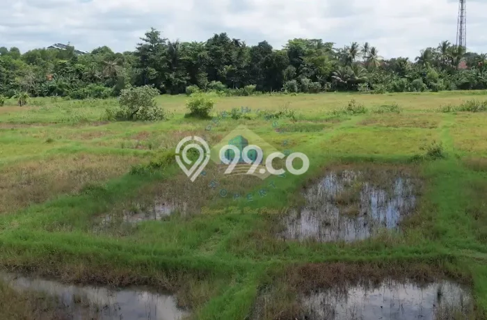 Lahan untuk Dijual di Serang Serang Luas 47000m2 Lahan untuk Dijual di Serang Serang Luas 47000m2
