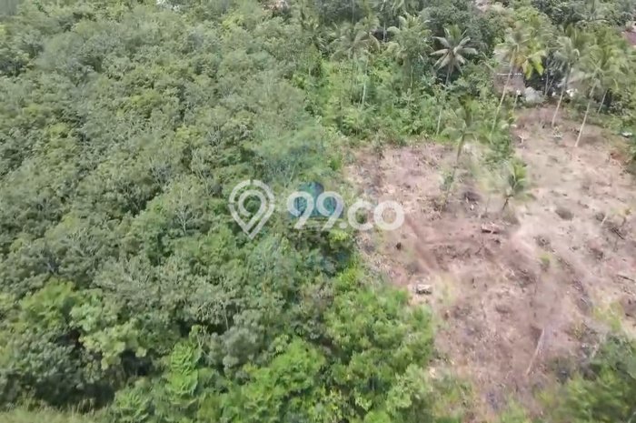 Kavling Tanah Dijual di Cileles Lebak Spesifikasi 40000m2 Kavling Tanah Dijual di Cileles Lebak Spesifikasi 40000m2