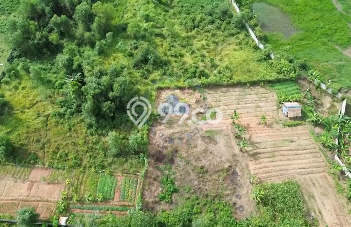 Lahan Kosong Dijual di Serang dengan Area 8716m2 Lahan Kosong Dijual di Serang dengan Area 8716m2