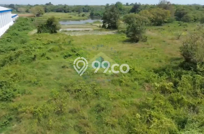 Lahan untuk Dijual Lokasi Ciruas, Serang Luas 20000m2 SHM Lahan untuk Dijual Lokasi Ciruas, Serang Luas 20000m2 SHM