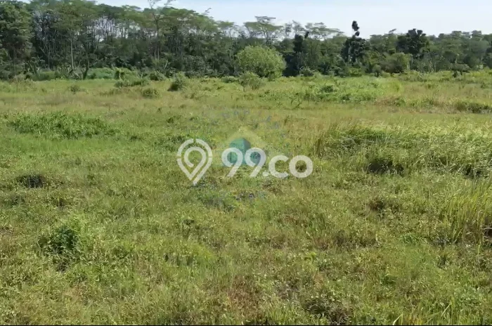 Dijual Tanah di Rangkasbitung Lebak Luas 51110m2 - Dijual Tanah di Rangkasbitung Lebak Luas 51110m2 -