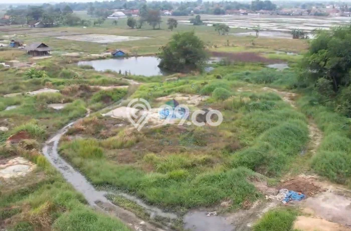 Tanah Kavling di Ciruas Dijual dengan Luas 150000m2 Tanah Kavling di Ciruas Dijual dengan Luas 150000m2