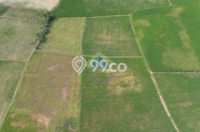 Tanah untuk Dijual Lokasi Kopo, Serang Luas 24000m2 SHM Tanah untuk Dijual Lokasi Kopo, Serang Luas 24000m2 SHM