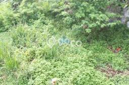 Jual Tanah Lokasi Strategis di Tigaraksa, Luas 1000m2m², Akses Tigaraksa, Tangerang, Tangerang Jual Tanah Lokasi Strategis di Tigaraksa, Luas 1000m2m², Akses Tigaraksa, Tangerang, Tangerang