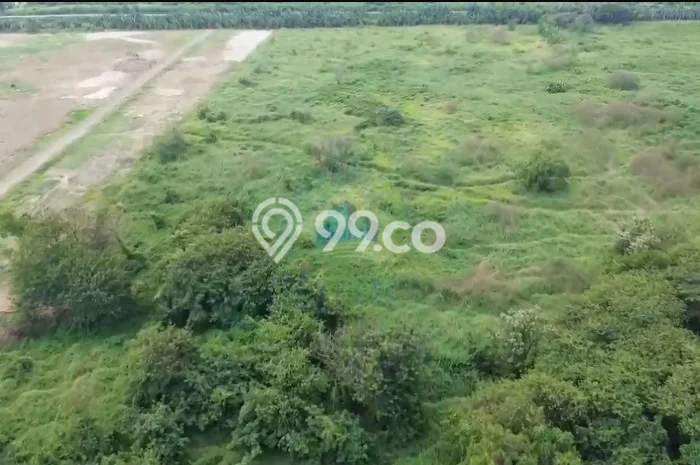 Kavling Tanah Dijual di Ciruas Serang Spesifikasi 65000m2 Kavling Tanah Dijual di Ciruas Serang Spesifikasi 65000m2