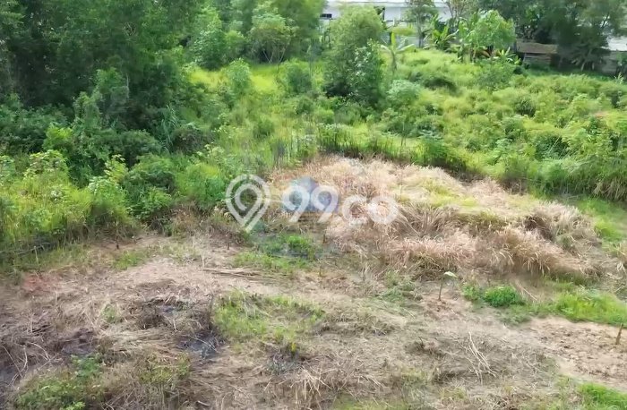 Lahan Kosong Dijual di Serang dengan Area 8716m2 Lahan Kosong Dijual di Serang dengan Area 8716m2