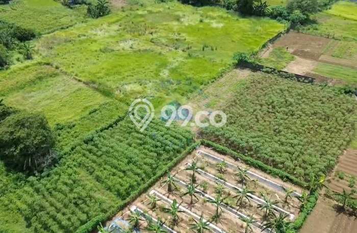 Lahan Kosong Dijual di Tangerang dengan Area 37000m2 Lahan Kosong Dijual di Tangerang dengan Area 37000m2
