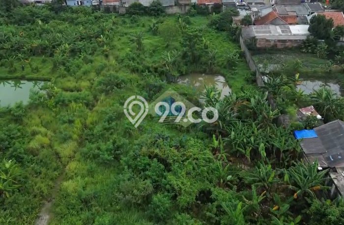 Jarang Ada! Tanah di Curug Punya Luas 8267m2 SHM Jarang Ada! Tanah di Curug Punya Luas 8267m2 SHM