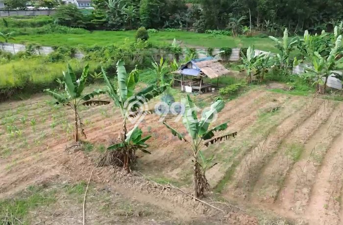 Lahan Kosong Dijual di Serang dengan Area 8716m2 Lahan Kosong Dijual di Serang dengan Area 8716m2