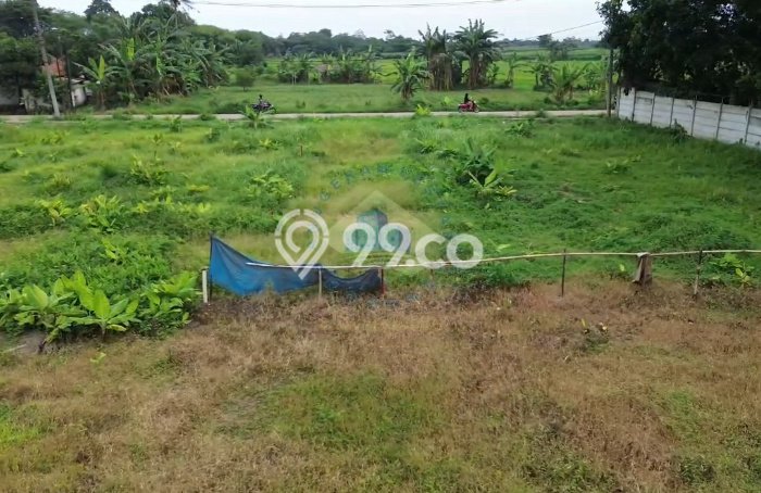 Jarang Ada! Tanah di Cisauk Punya Luas 4000m2 AJB Jarang Ada! Tanah di Cisauk Punya Luas 4000m2 AJB