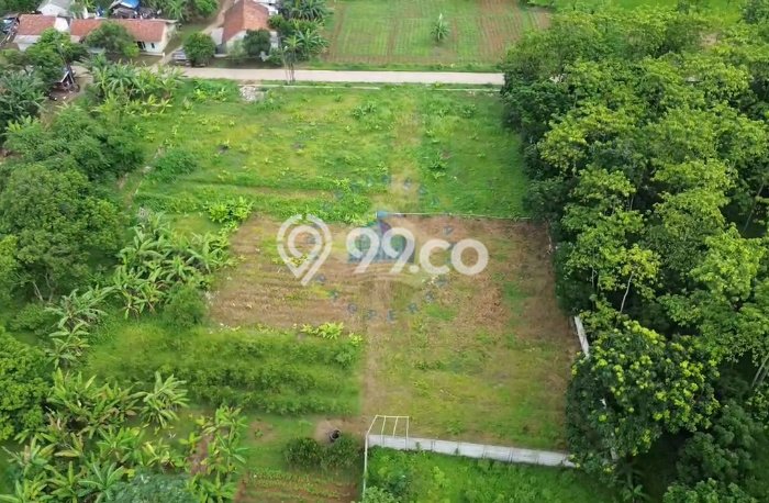 Jarang Ada! Tanah di Cisauk Punya Luas 4000m2 AJB Jarang Ada! Tanah di Cisauk Punya Luas 4000m2 AJB