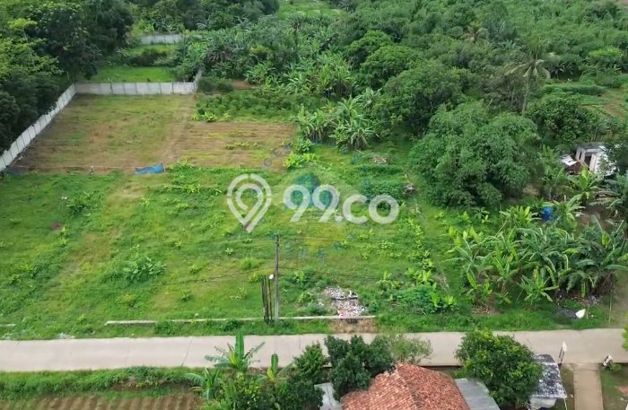 Jarang Ada! Tanah di Cisauk Punya Luas 4000m2 AJB Jarang Ada! Tanah di Cisauk Punya Luas 4000m2 AJB