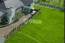 Tanah Dijual Area Strategis di Kaliurang Yogyakarta 3829m2 Tanah Dijual Area Strategis di Kaliurang Yogyakarta 3829m2
