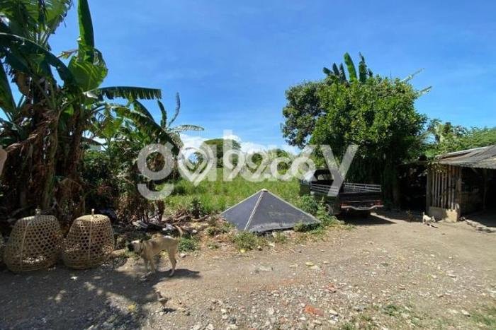 Tanah untuk Dijual di Denpasar Selatan Denpasar Luas 1950m2 Tanah untuk Dijual di Denpasar Selatan Denpasar Luas 1950m2