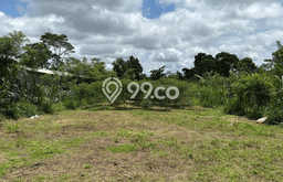 Tanah Dijual Lokasi Ubud, Gianyar Luas 2093m2 Legalitas Aman Tanah Dijual Lokasi Ubud, Gianyar Luas 2093m2 Legalitas Aman