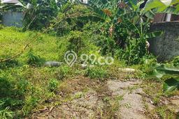 Lahan Investasi Lokasi Ciomas Bogor SHM Lahan Investasi Lokasi Ciomas Bogor SHM