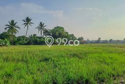 AREA PROSPEKTIF! Tanah di Serang, Luas 35137m2m², Dekat Transportasi, Kawasan Berkembang AREA PROSPEKTIF! Tanah di Serang, Luas 35137m2m², Dekat Transportasi, Kawasan Berkembang