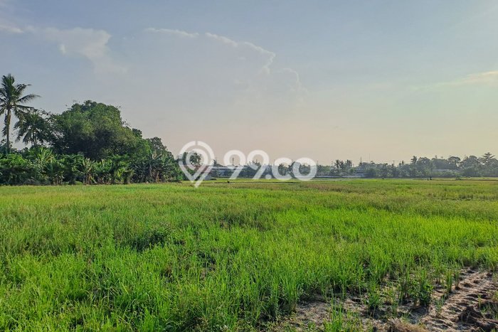 AREA PROSPEKTIF! Tanah di Serang, Luas 35137m2m², Dekat Transportasi, Kawasan Berkembang AREA PROSPEKTIF! Tanah di Serang, Luas 35137m2m², Dekat Transportasi, Kawasan Berkembang