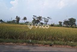 Tanah Strategis Dijual di Padalarang Bandung Barat 20000m2 Tanah Strategis Dijual di Padalarang Bandung Barat 20000m2