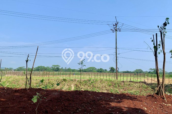 Kavling Tanah di Dawuan Dijual Luas 3487m2 Legalitas SHM Kavling Tanah di Dawuan Dijual Luas 3487m2 Legalitas SHM