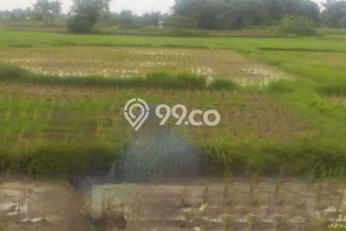 Tanah Dijual di Serang Seluas 160000m2 Strategis Tanah Dijual di Serang Seluas 160000m2 Strategis