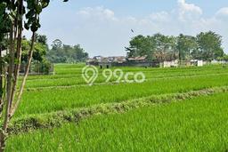 Lahan untuk Dijual Lokasi Soreang, Bandung Luas 3926m2 SHM Lahan untuk Dijual Lokasi Soreang, Bandung Luas 3926m2 SHM