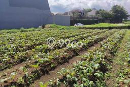 Lahan Kosong Dijual di Sukasari, Bandung, Luas 575m2 Area Strategis Lahan Kosong Dijual di Sukasari, Bandung, Luas 575m2 Area Strategis
