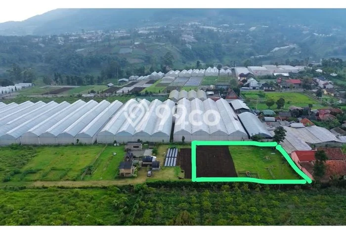 Kavling Tanah di Cisarua Dijual Luas 2320m2 Legalitas SHM Kavling Tanah di Cisarua Dijual Luas 2320m2 Legalitas SHM