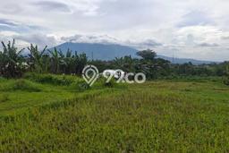 Lahan Dijual Lokasi Caringin, Bogor dengan Luas Tanah 8000m2 dan Status AJB Lahan Dijual Lokasi Caringin, Bogor dengan Luas Tanah 8000m2 dan Status AJB