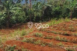 Tanah Dijual Lokasi Caringin, Bogor dengan Luas Tanah 3160m2 dan Status SHM Tanah Dijual Lokasi Caringin, Bogor dengan Luas Tanah 3160m2 dan Status SHM