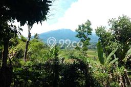 For Sale Vila Kawasan Cigombong, Ukuran 2000m2m², Area Asri For Sale Vila Kawasan Cigombong, Ukuran 2000m2m², Area Asri