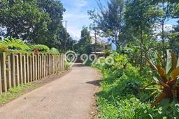 Tanah Dijual Lokasi Cijeruk Bogor SHM Tanah Dijual Lokasi Cijeruk Bogor SHM