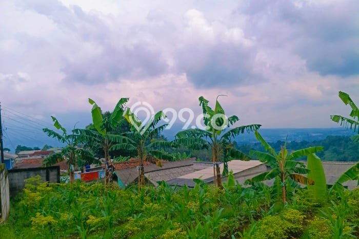Lahan Kosong Dijual di Caringin, Bogor, Luas 815m2 Area Strategis Lahan Kosong Dijual di Caringin, Bogor, Luas 815m2 Area Strategis