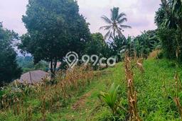 Lahan Investasi Lokasi Caringin Bogor SHM Lahan Investasi Lokasi Caringin Bogor SHM