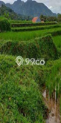 Lahan untuk Dijual Lokasi Pamijahan, Bogor Luas 5000m2 SHM Lahan untuk Dijual Lokasi Pamijahan, Bogor Luas 5000m2 SHM