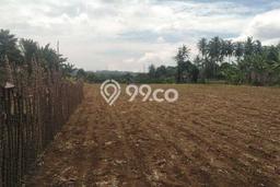 Lahan Strategis di Caringin Dijual dengan Luas 15000m2 Lahan Strategis di Caringin Dijual dengan Luas 15000m2