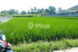 Dijual Tanah di Cigombong Bogor Luas 670m2 - Dijual Tanah di Cigombong Bogor Luas 670m2 -