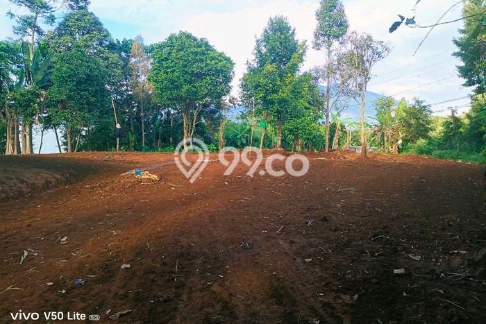 Kavling Tanah Dijual di Caringin Bogor Spesifikasi 1400m2 Kavling Tanah Dijual di Caringin Bogor Spesifikasi 1400m2