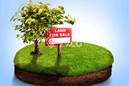 Kavling Tanah di Mulyorejo Dijual Luas 220m2 Legalitas - Kavling Tanah di Mulyorejo Dijual Luas 220m2 Legalitas -