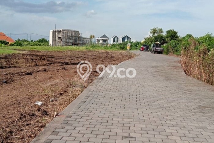 Tanah Kavling Dijual di Badung dengan Spesifikasi 3000m2 Tanah Kavling Dijual di Badung dengan Spesifikasi 3000m2