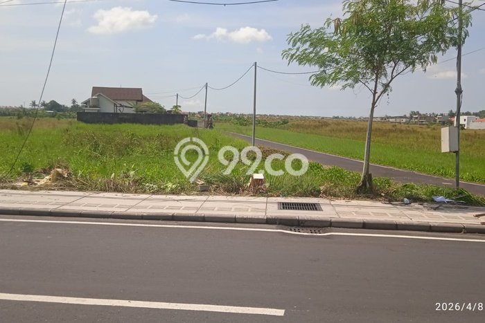 Tanah Kavling Dijual di Badung dengan Spesifikasi 1000m2 Tanah Kavling Dijual di Badung dengan Spesifikasi 1000m2