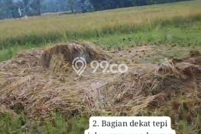 Tanah Dijual di Tabanan Seluas 10750m2 Strategis Tanah Dijual di Tabanan Seluas 10750m2 Strategis